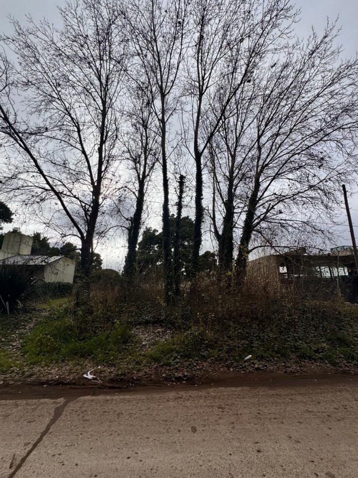 Lote Barrio Santa Celina
