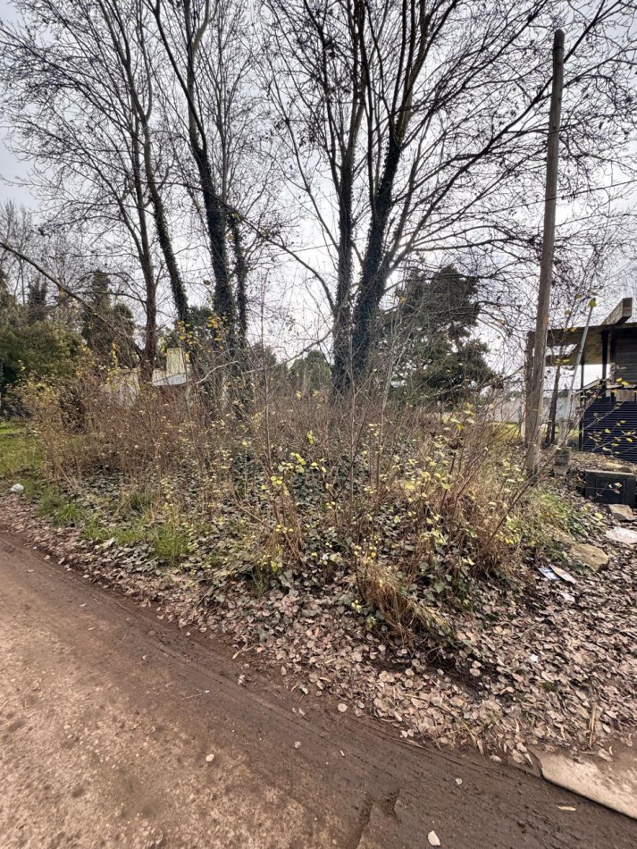 Lote Barrio Santa Celina