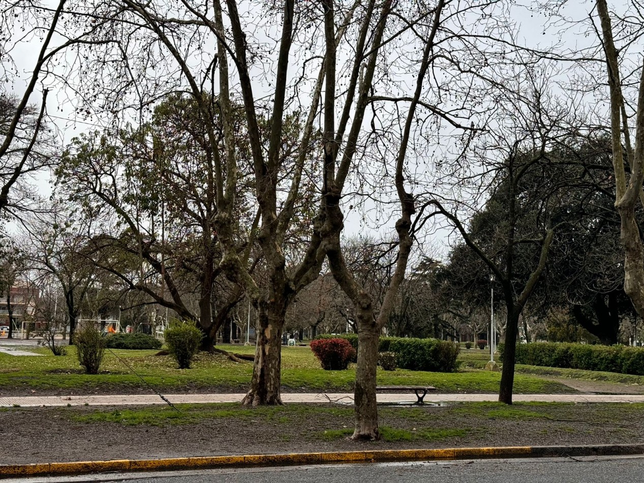 ALQUILER VERANO 2026 - MONOAMBIENTE EN PB - LA PERLA