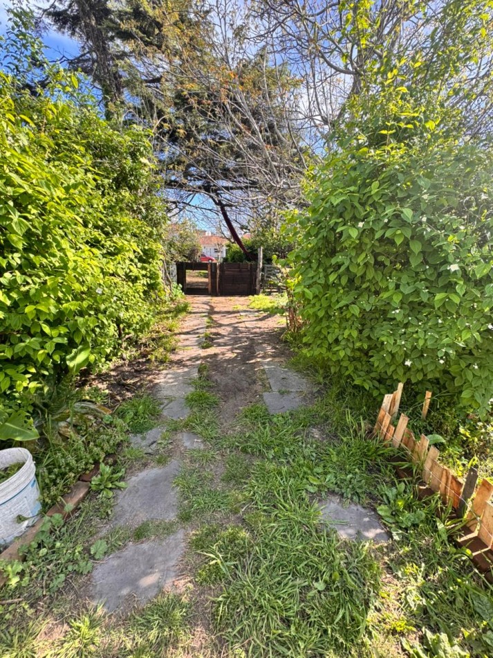 DOS LOTES IDEAL EMPRENDIMIENTO - NUEVA POMPEYA