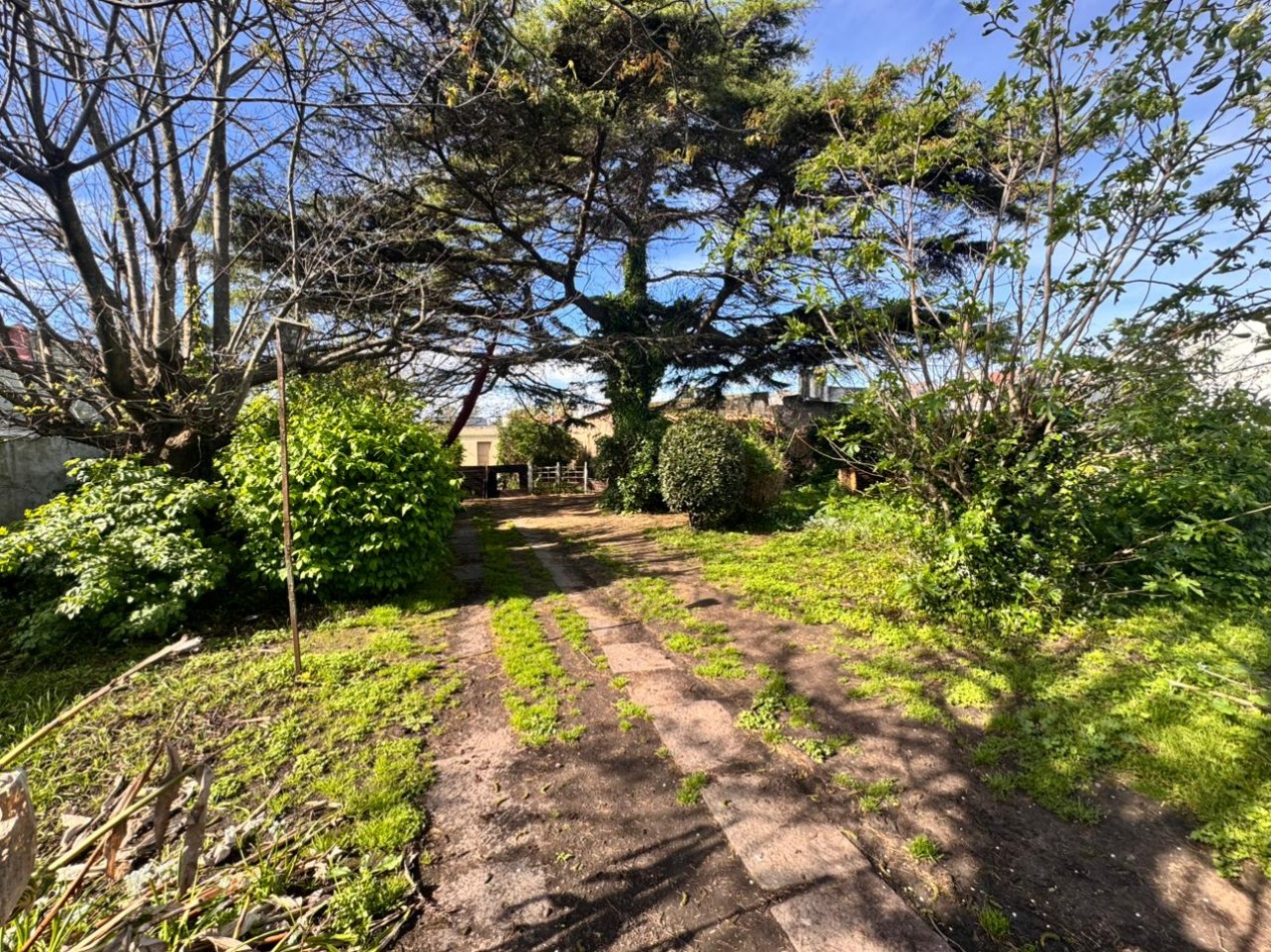 DOS LOTES IDEAL EMPRENDIMIENTO - NUEVA POMPEYA