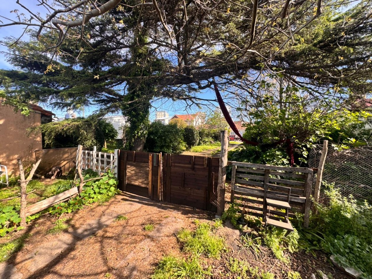 DOS LOTES IDEAL EMPRENDIMIENTO - NUEVA POMPEYA