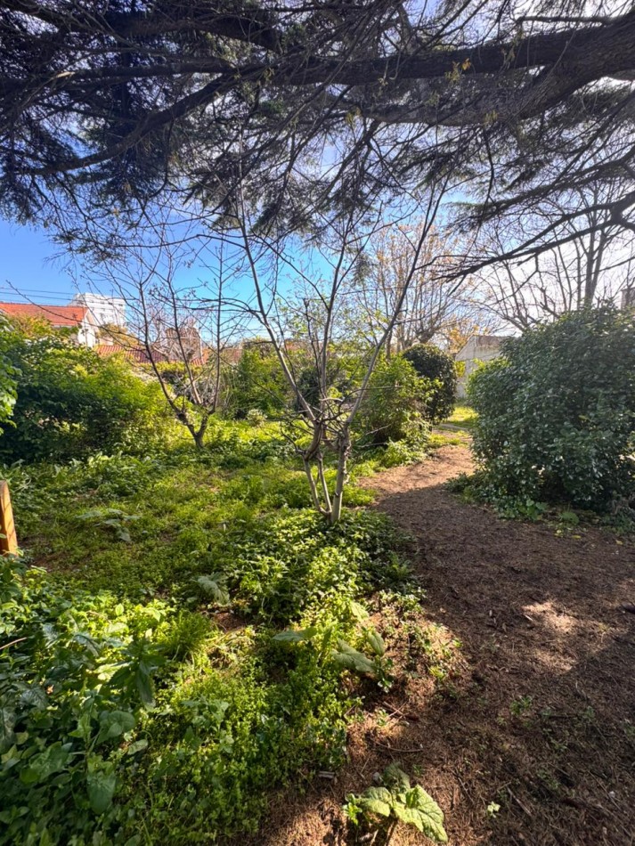 DOS LOTES IDEAL EMPRENDIMIENTO - NUEVA POMPEYA