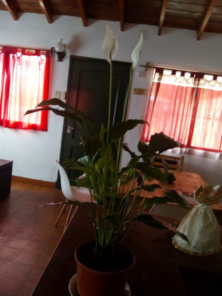 CASA 3 AMBIENTES - BOSQUE GRANDE