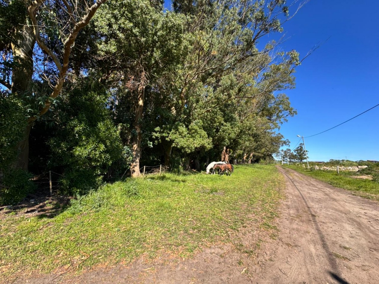 DOS LOTES - LOMAS DE SAN PATRICIO