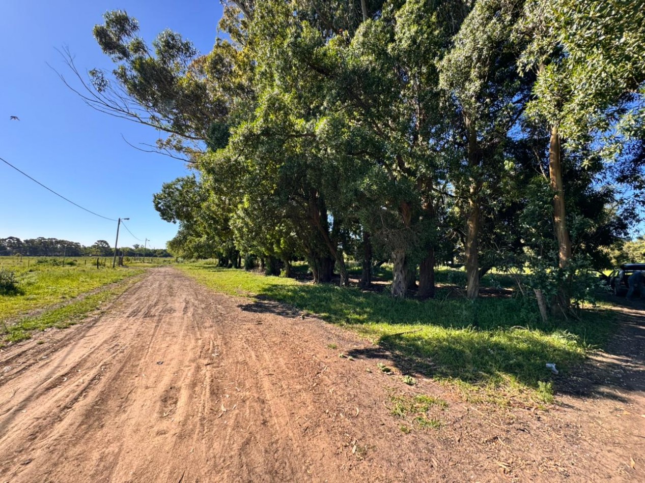 DOS LOTES - LOMAS DE SAN PATRICIO