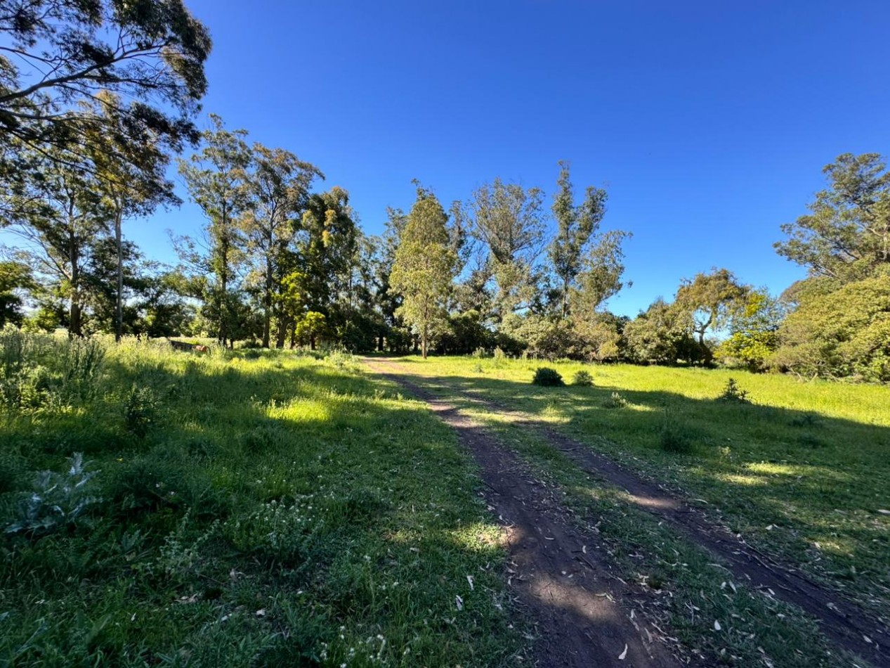 DOS LOTES - LOMAS DE SAN PATRICIO