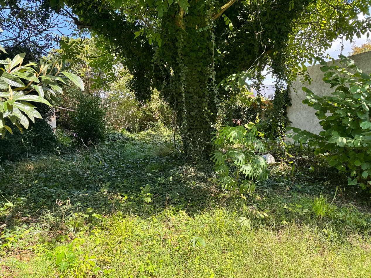 LOTE CON CONSTRUCCION  PARA DEPOSITO/GALPON - LAS AVENIDAS