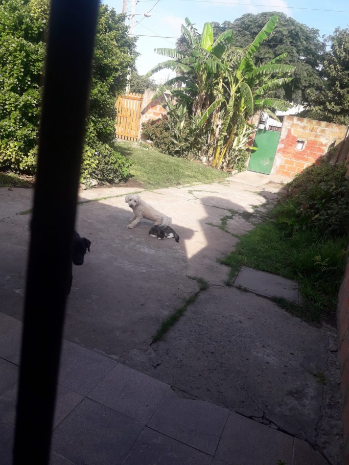 CASA 3 AMBIENTES - BOSQUE GRANDE