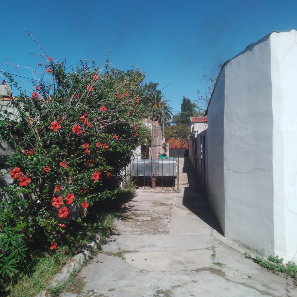 PH 3 Ambientes con cochera y patio- Planta Baja - Zona Champagnat.