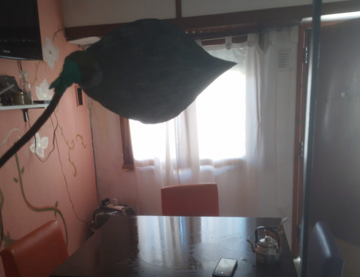 PH 3 Ambientes con cochera y patio- Planta Baja - Zona Champagnat.