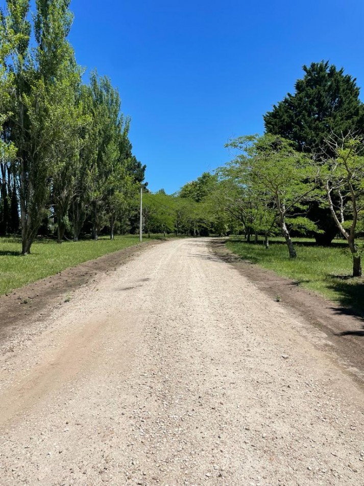 Lotes en venta en Barrio PINARES DE SANTA CLARA