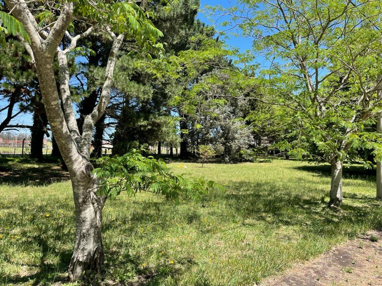 Lotes en venta en Barrio PINARES DE SANTA CLARA