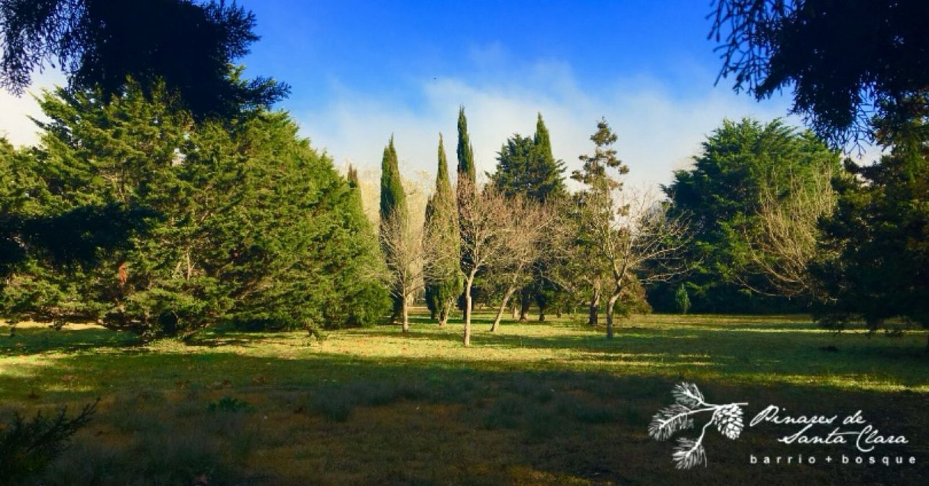 Lote en venta en Barrio PINARES DE SANTA CLARA