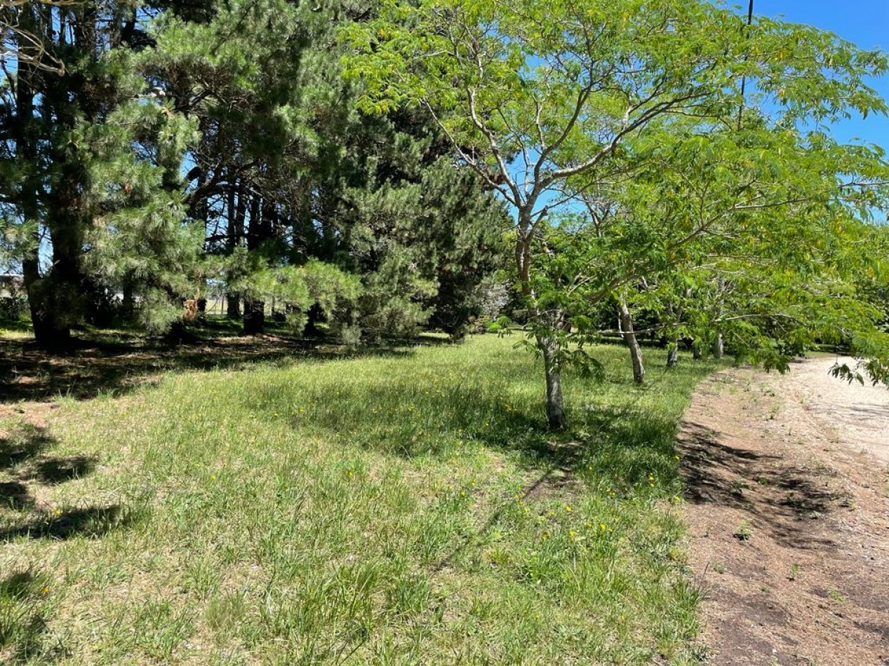 Lote en venta en Barrio PINARES DE SANTA CLARA