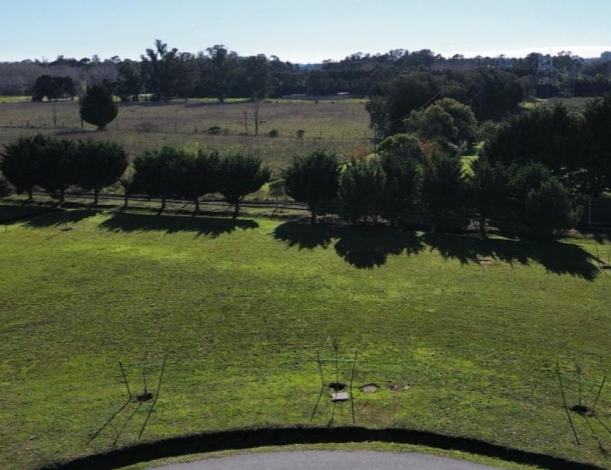 LOTE 42 EN VENTA - CASONAS DEL HARAS - LAS LOMAS