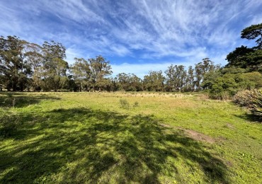 Fraccion de campo 2 y 1/2 Ha - Zona Boqueron - Mar del Plata - ALQUILER