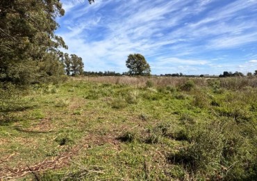 Fraccion de campo 2 y 1/2 Ha - Zona Boqueron - Mar del Plata - ALQUILER
