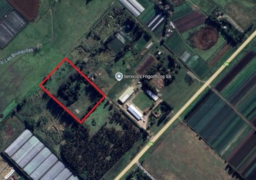 Fraccion de campo 2 y 1/2 Ha - Zona Boqueron - Mar del Plata - ALQUILER